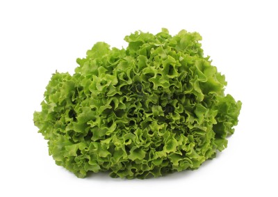 Салат романо 1 кг - купить в Долгой Поляне