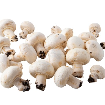 Шампиньоны свежие 500 г - купить в Долгой Поляне